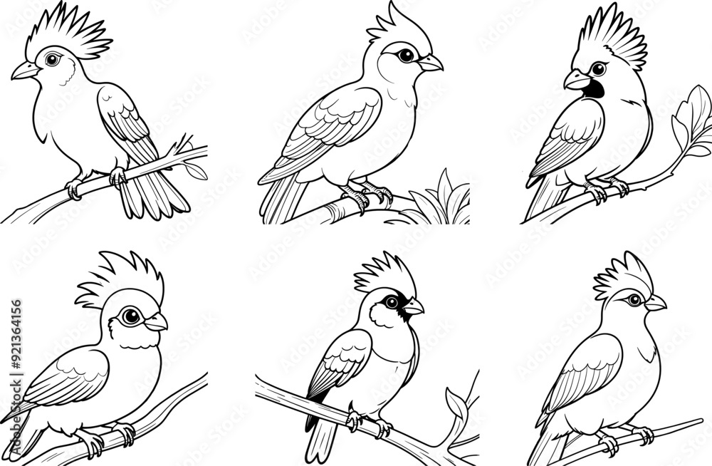 Obraz premium Turaco bird hand drawing coloring page and outline vector design