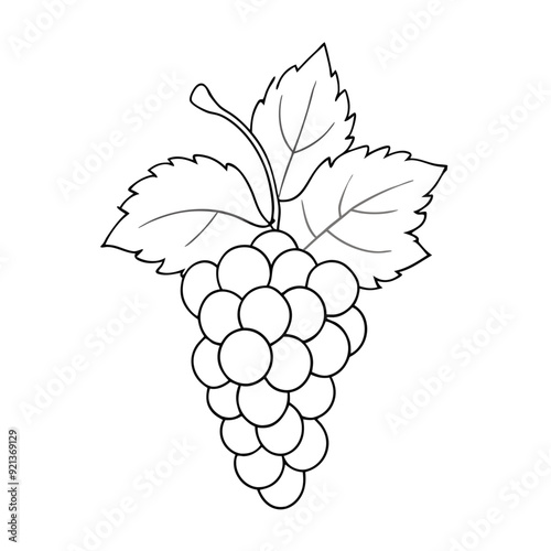 Vector Illustration of Apple, Corn, Grapes, Pumpkin, and Wheat in Vibrant Colors