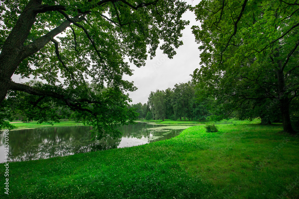 Obraz premium A lush green park with a pond and trees