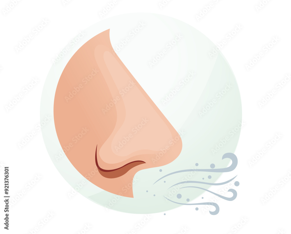 Human Nose - Smell and Breathe - Stock Illustration Human Nose - Smell and Breathe - Stock Illustration