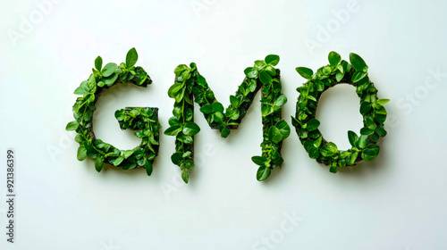 Green plants form the acronym gmo against a white backdrop, symbolizing the debate on genetically modified organisms photo
