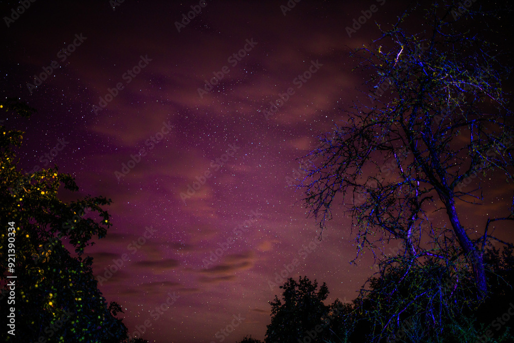 northern lights purple sky at night, red sky
