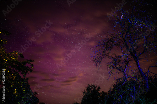Obraz na płótnie northern lights purple sky at night, red sky w salonie