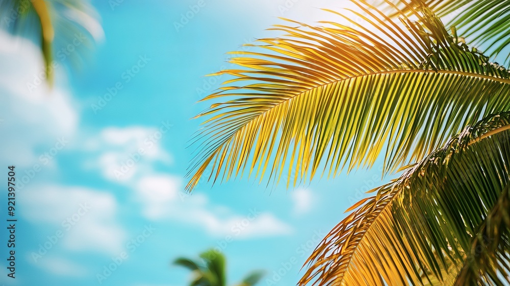 Fototapeta premium Bright sunlight filtering through palm leaves on a clear tropical day