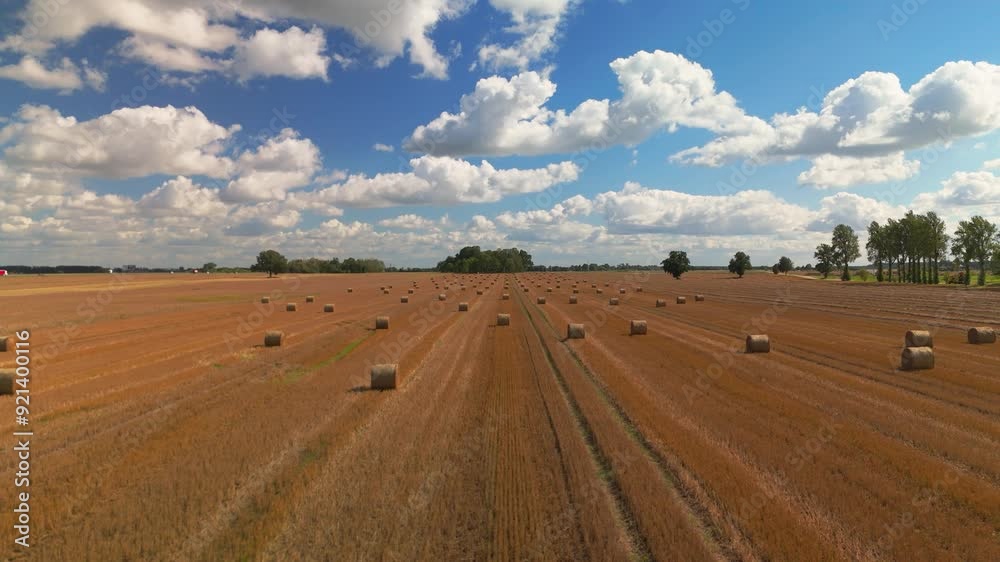 Aerial drone shot of endless farming fields with hays on a sunny day. Aerial drone shot of endless farming fields with hays on a sunny day.