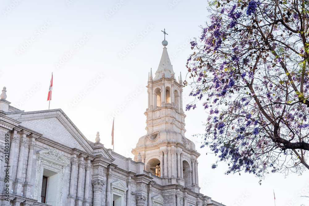 Tower of the Cathedral of Arequipa Peru with the jacaranda tree Tower of the Cathedral of Arequipa Peru with the jacaranda tree