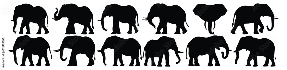 Elephant silhouettes set, pack of vector silhouette design, isolated background Elephant silhouettes set, pack of vector silhouette design, isolated background