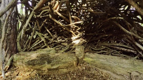 A fast-paced camera ride through a spooky wooden hut in the middle of the forest with 360-degree effects and super wide angle