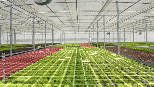 Drone shot of high tech agricultural greenhouse controlled by automatized technology parameters, AR visualization. AR hologram statistics over certified organic eco friendly farm crops