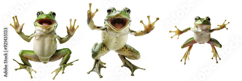 Untitled design - A set of Close-up of a cheerful frog in mid-jump its expression randomly on a transparent background (3) photo