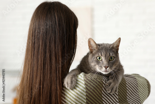 Young woman with grey cat a...