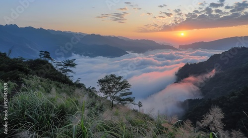 Landscape View Of Mountains And The Sea Of Clouds With Sunset At Eryanping Trail, Alishan National Scenic Area, Xiding, Chiayi,Taiwan photo