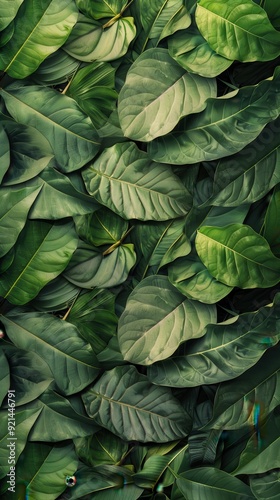 Dense layers of green leaves create a soothing and tranquil atmosphere in a natural environment