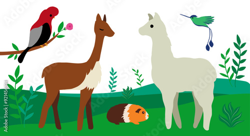 Peruvian wildlife vector illustration with plants. This collection features some of Peru's most iconic animals, including guinea pig, vicuna, hummingbird, llama, and Andean Cock of the Rock