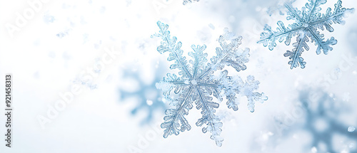 Close-Up of Delicate Snowflakes Gently Drifting