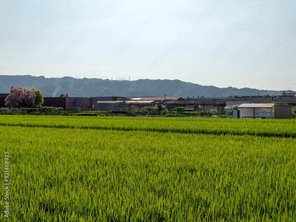 大阪府八尾市の町工場と田園風景 大阪府八尾市の町工場と田園風景