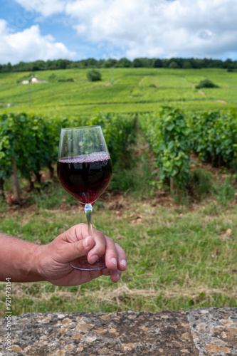 Drinking of red pinot noir wine on grand cru vineyards with cross and stone walls in Cote de nuits, making of famous red and white Burgundy wine in Burgundy region, Vosne-Romanee village photo