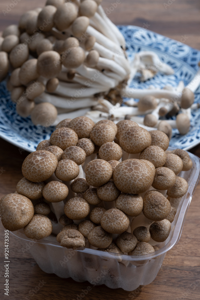 Brown shimeji edible mushrooms native to East Asia, buna-shimeji is widely cultivated and rich in umami tasting compounds Brown shimeji edible mushrooms native to East Asia, buna-shimeji is widely cultivated and rich in umami tasting compounds