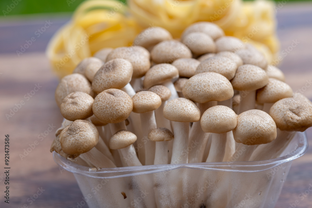 Brown shimeji edible mushrooms native to East Asia, buna-shimeji is widely cultivated and rich in umami tasting compounds Brown shimeji edible mushrooms native to East Asia, buna-shimeji is widely cultivated and rich in umami tasting compounds