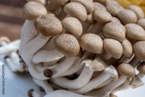 Brown shimeji edible mushrooms native to East Asia, buna-shimeji is widely cultivated and rich in umami tasting compounds photo