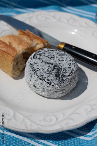 Picnic with cheese and baquette bread, French Cendre Lait cru Chevre cheese made from goat milk with ash in France served outdoor photo