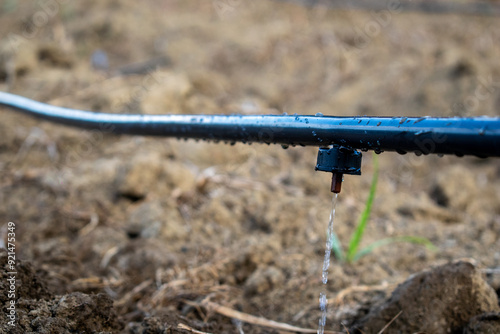 Drip Irrigation Hose with Dripper – Essential for Efficient Watering