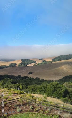dynamic skies and rolling hills: a timelapse of fog and clouds