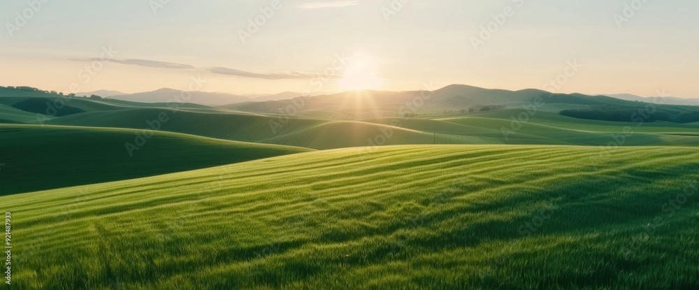 Aerial view of Romanian green hills, copy space, natural lighting Aerial view of Romanian green hills, copy space, natural lighting