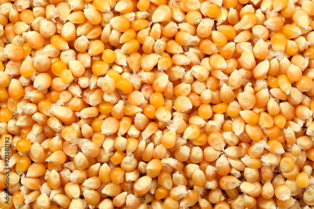 Fresh corn kernels as background, top view Fresh corn kernels as background, top view