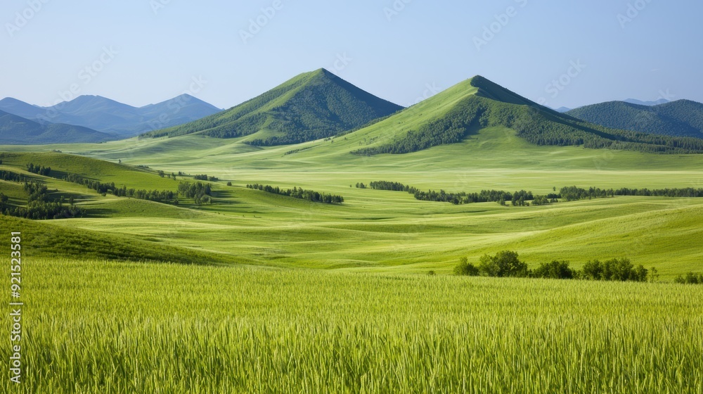 Fototapeta premium Scenic Landscape of Rolling Green Hills Under a Clear Blue Sky on a Sunny Day