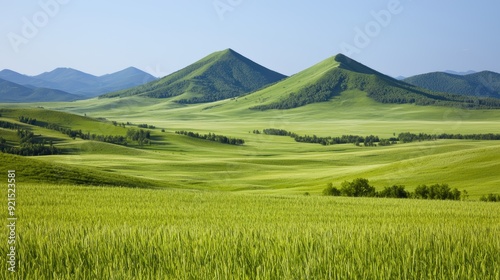 Scenic Landscape of Rolling Green Hills Under a Clear Blue Sky on a Sunny Day