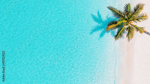 A palm tree is on a beach with the ocean in the background photo