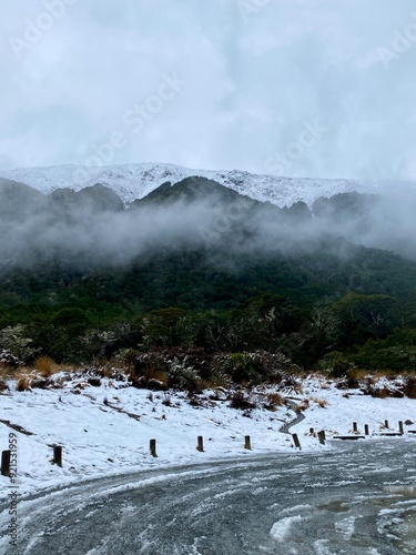 Lewis Pass Alpine Nature Trail, New Zealand 