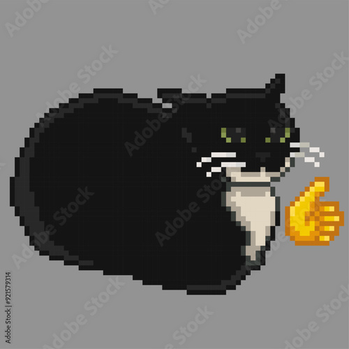 Fotografie Approved by Black and white cat, pixel art meme