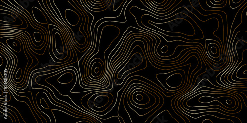 Topographic canyon geometric map relief texture with curved layers and shadow. abstract White background with a beautiful pattern, Topographic contour lines vector map seamless pattern vector.