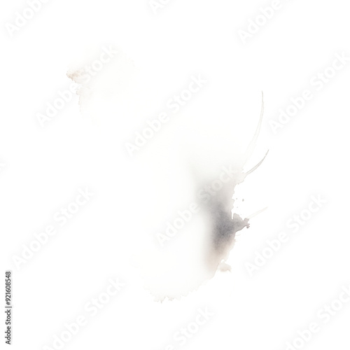 Earth tones watercolor splash on transparent background