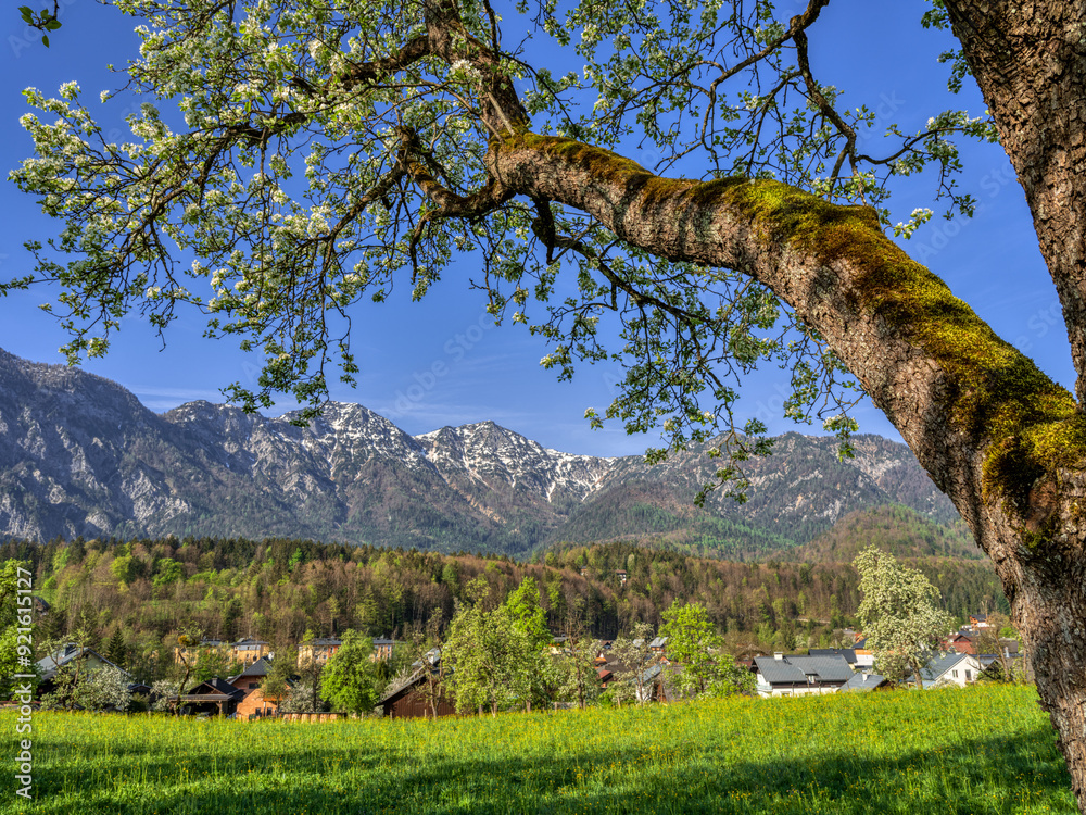 Frühling im Salzkammergut