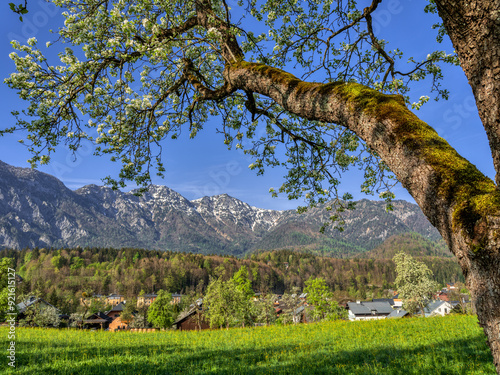 Obraz na płótnie Frühling im Salzkammergut w salonie