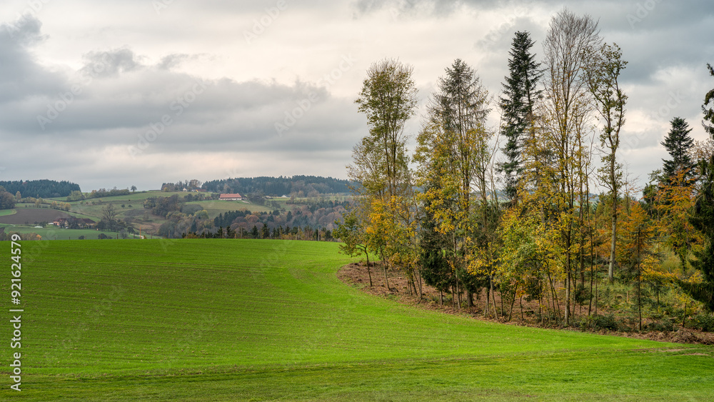 Herbstliche Landschaft im Mühlviertel | Oberösterreich