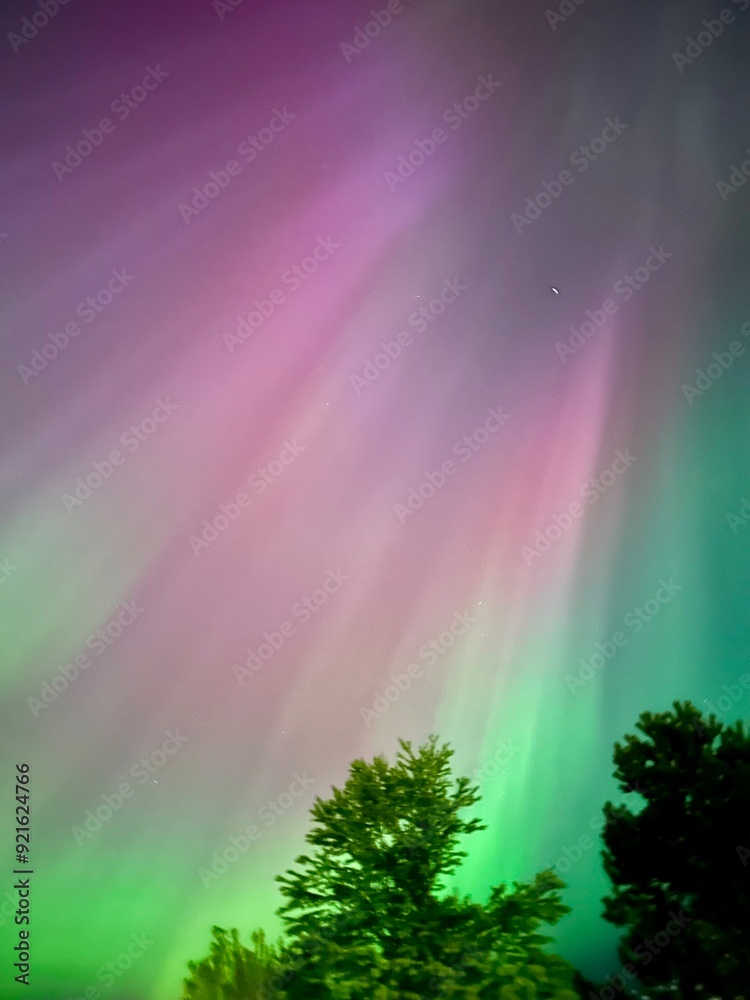 Aurora Borealis rainbow in the forest Aurora Borealis rainbow in the forest