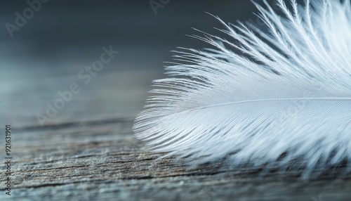 Single white feather on rustic wood background. photo