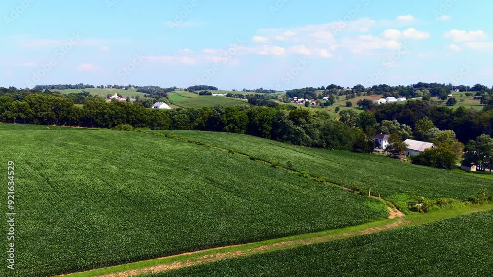 A high angle, aerial view of a few houses in the distance, spread out far apart on large green farmlands in Pennsylvania on a sunny day. The camera is stationary. The soybean crops sway in the wind. A high angle, aerial view of a few houses in the distance, spread out far apart on large green farmlands in Pennsylvania on a sunny day. The camera is stationary. The soybean crops sway in the wind.