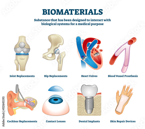 Biomaterials illustration, transparent background.Labeled organ replacement collection set.Medical substance for biological systems interaction in healthcare.
