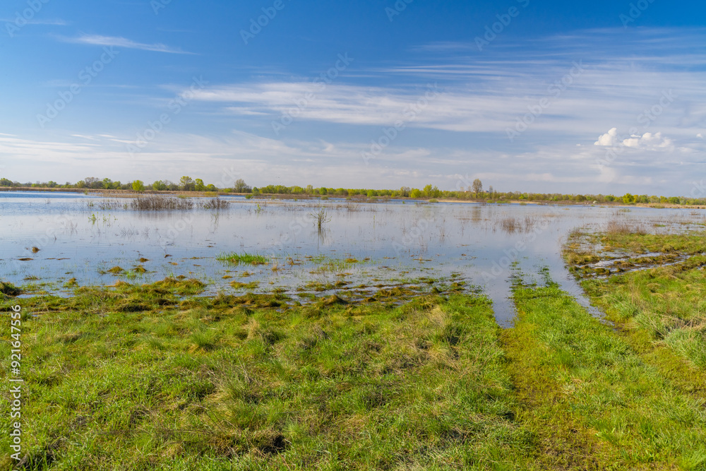 Flooded area near the Dnieper River in spring Flooded area near the Dnieper River in spring