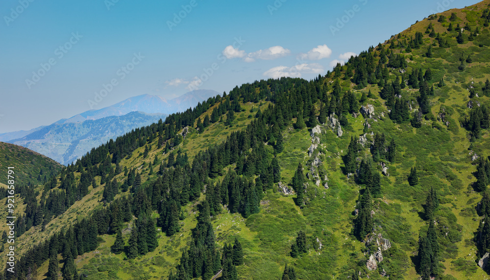 Naklejka premium landscape with trees and mountains