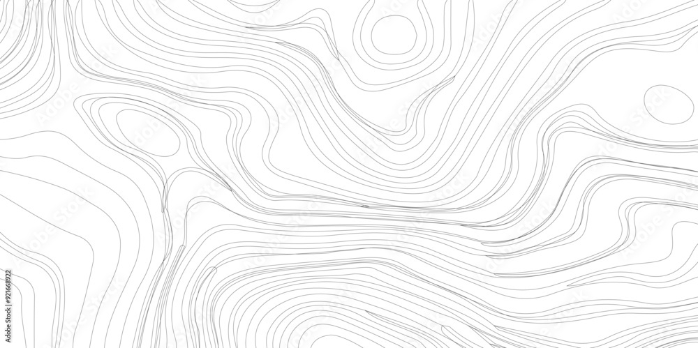 The concept of a conditional geography scheme and the terrain path. Gray & White. Ultra wide size, Distorted wave monochrome texture. The concept of a conditional geography scheme and the terrain path. Gray & White. Ultra wide size, Distorted wave monochrome texture.