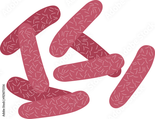 Bacillus subtilis