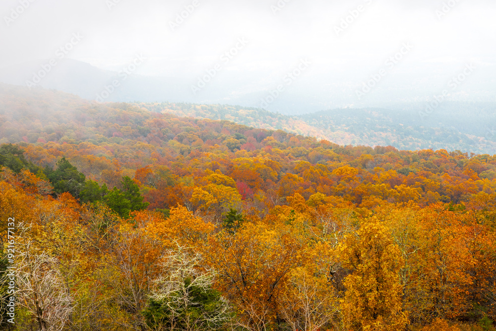 Autumn foliage at Mount Magazine with heavy fog in the valley. Autumn foliage at Mount Magazine with heavy fog in the valley.