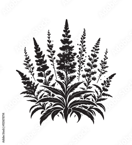 goldenrod vector style,silhouette vector,black and white color photo