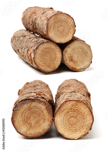 log isolated on a white background 